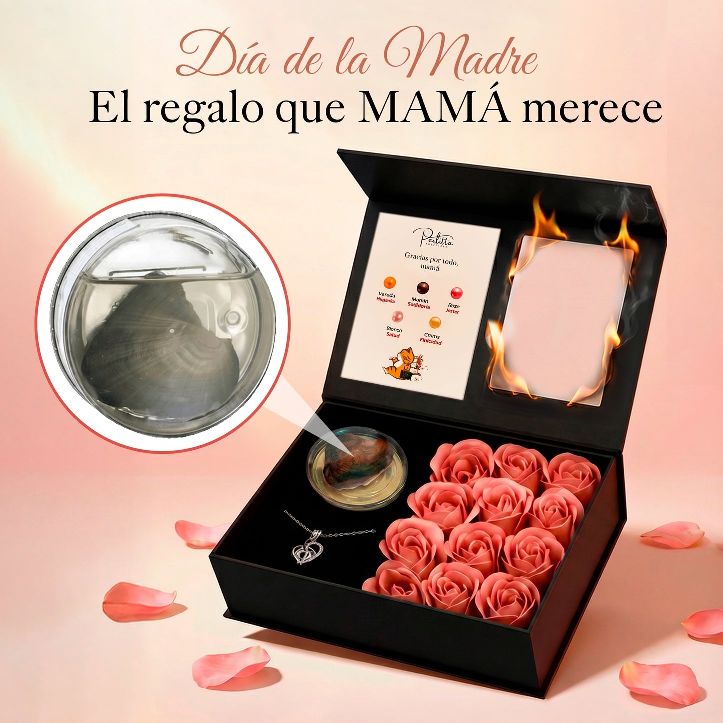 Perlita Experience